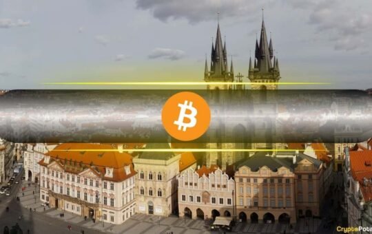 Bitcoin as a Reserve Asset? Czech Central Bank Governor Opens the Discussion