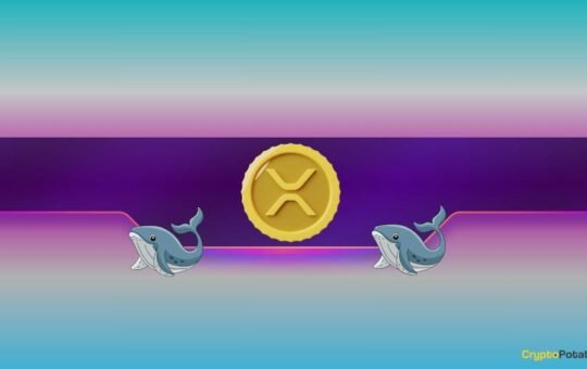 How Will Ripple (XRP) and Dogecoin (DOGE) Prices React as Whales Keep Buying?