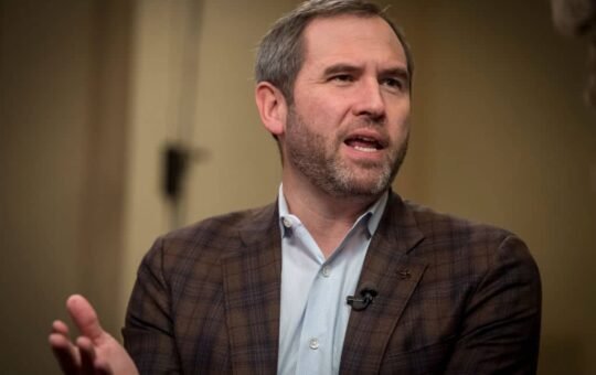 Ripple CEO Takes on Bitcoin Maximalists in XRP Reserve Debate