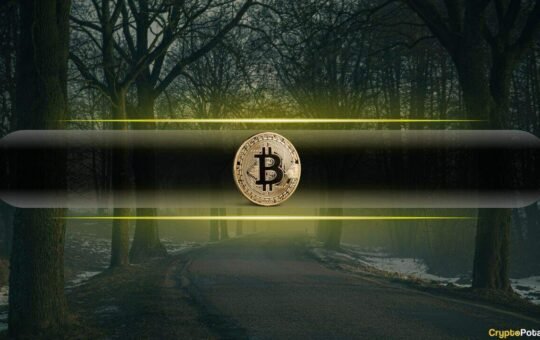 What Are Bitcoin’s Critics Really Afraid of?