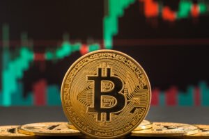 Bitcoin ETF investors hold strong despite a 25% BTC price drop: Here's why