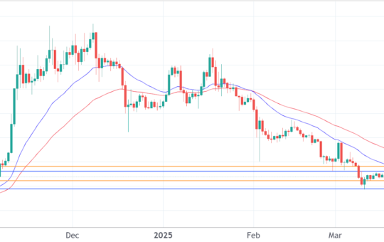 Dogecoin price