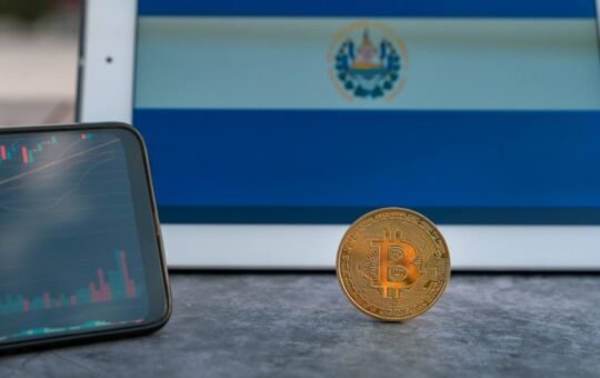 89% of Registered Bitcoin Service Providers Remain Inactive in El Salvador