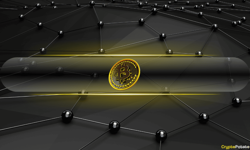 Trump’s Crypto Advisor Says There’s A ‘Space Race’ to Build a Bitcoin Reserve