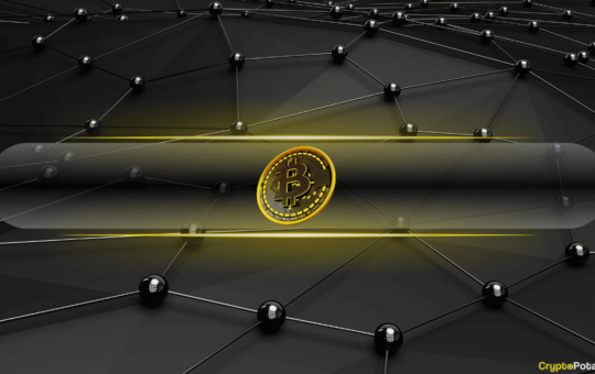 Trump’s Crypto Advisor Says There’s A ‘Space Race’ to Build a Bitcoin Reserve