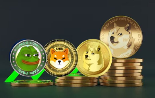 Meme coins SHIB PEPE