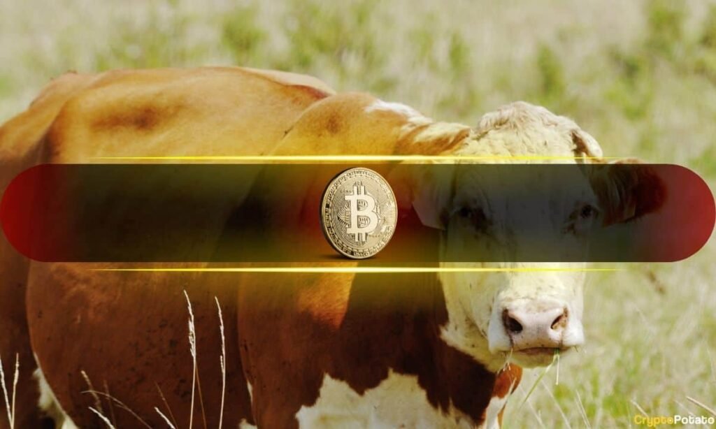 Last Time Bitcoin Did This, the Price Went From $60K to $100K