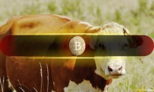Last Time Bitcoin Did This, the Price Went From $60K to $100K