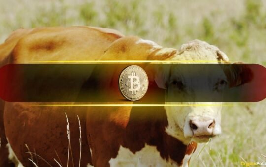 Last Time Bitcoin Did This, the Price Went From $60K to $100K