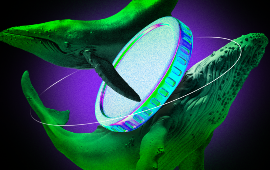What Crypto Whales Are Buying For The Third Week of June