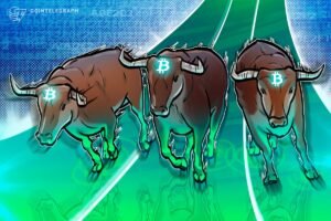 Why is Bitcoin price rising?