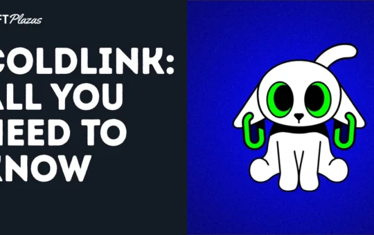 A Complete Guide to Coldlink: Your Trusted Wallet Companion
