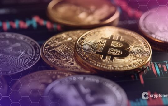 Crypto Analyst: Altcoins Rally Strongly While Bitcoin Dominance Remains Unshaken