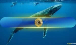 Bitcoin Whales Seize 68% of Supply After Adding 218,570 BTC