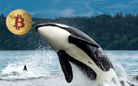 Galaxy Digital sends over 10,000 Bitcoin from Satoshi-era stash to exchanges