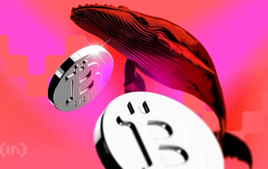 Bitcoin Risks Deeper Drop Toward $100,000 Amid Whale Rotation Into Ethereum