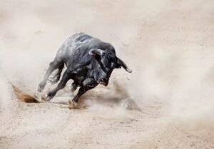 crypto