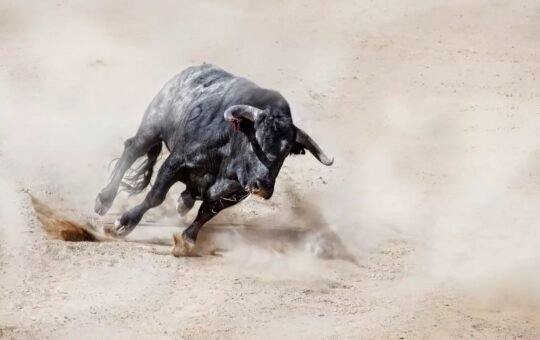 crypto