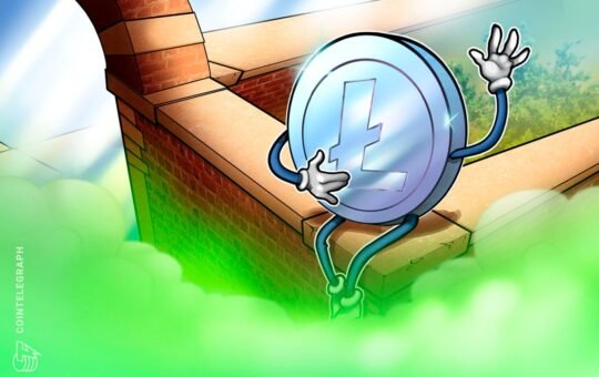 Litecoin Feuds With Crypto Influencer Over Price And Hairline