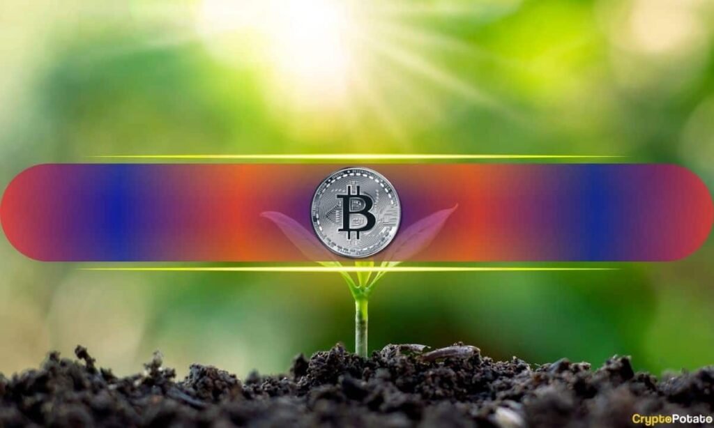 Sees Bitcoin Soaring to $200K in Q4 on Fed Policy Shift