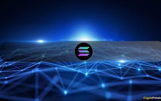 Why Solana Treasury Companies May Outshine BTC and ETH in 2025