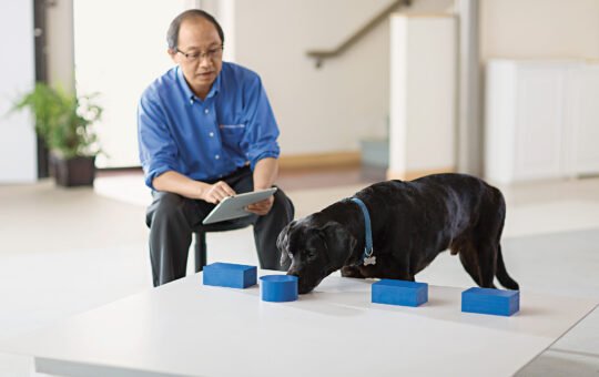 Illustration for article on AI causing cognitive decline in users.