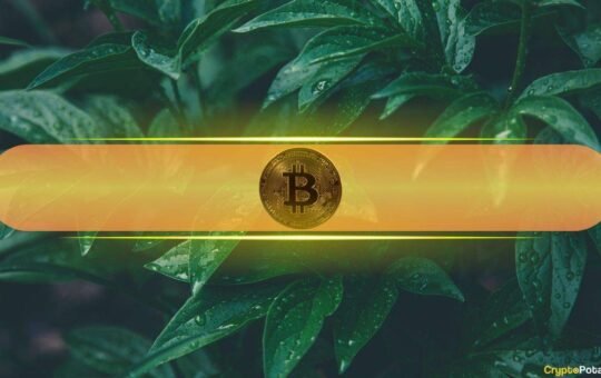 Bitcoin's Healthy Volatility Band Points to Realistic $130K Target