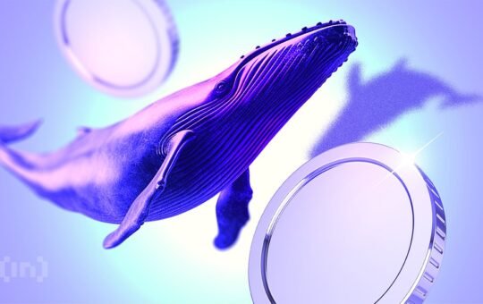 Crypto Whales Are Buying These 3 Altcoins for December Gains?