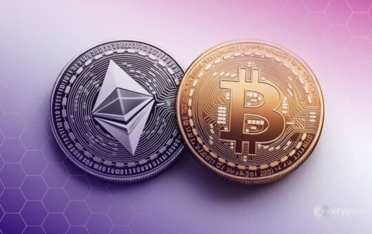 Bloomberg Intel Shows Five Spot Altcoin ETFs Set to List Soon as Bitcoin Loses Capital