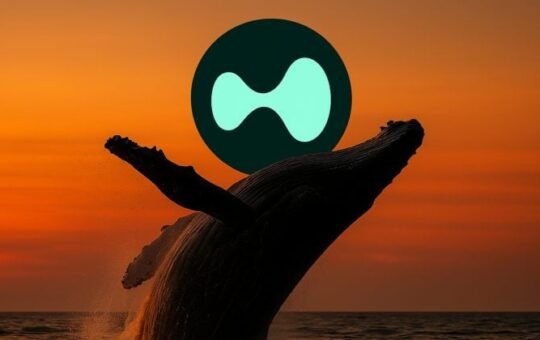 Hyperliquid whale sees profit fall from $100M to $38.4M as ETH and XRP longs sink