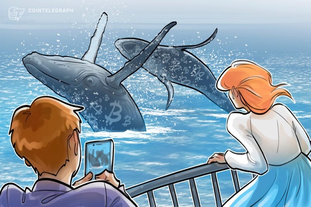Bitcoin Whales Double Down on BTC Bull Market to end 2025