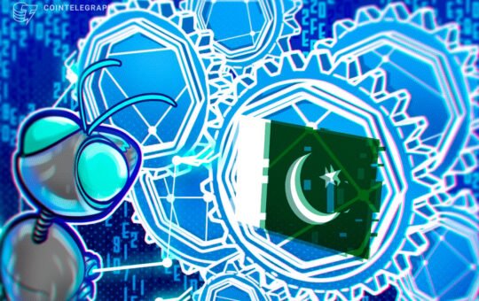 Pakistan Minister Says Bitcoin Should Anchor New Financial Rail
