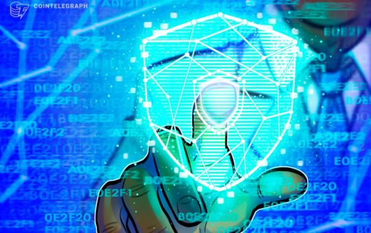 Privacy Coins Outperform as Crypto Investors Turn Defensive