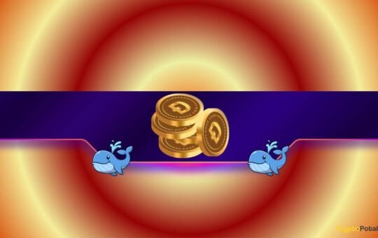 Why Whales Are Selling and ETFs Are Flopping