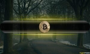 Bitcoin’s 50% Decline Seen as 'Modest,' Signals Market Maturity