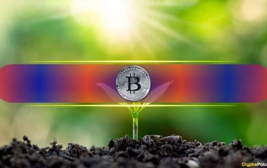 5 Key On-Chain Signals to Watch With Bitcoin at Fair Value