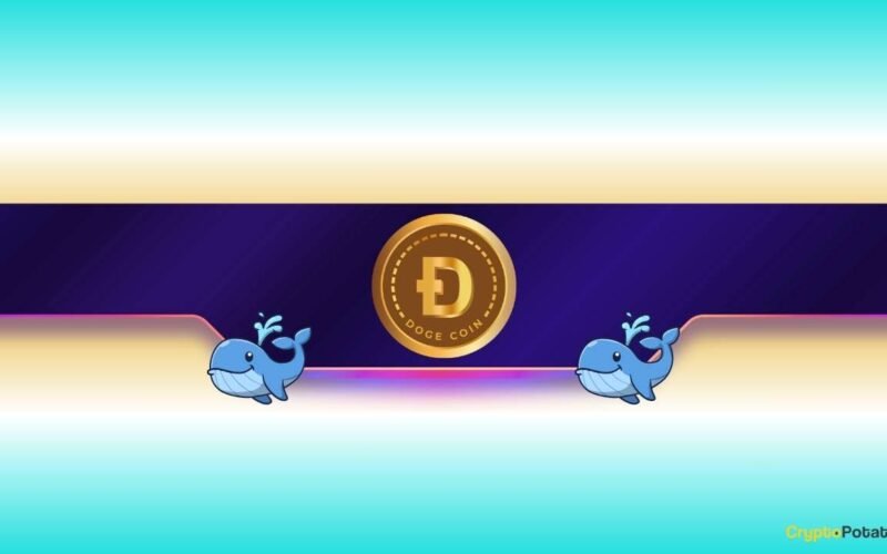 Is Dogecoin Ready to Rally?