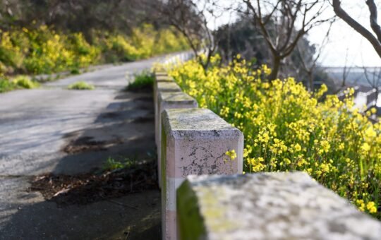 Asylon and Thrive Logic bring physical AI to enterprise perimeter security