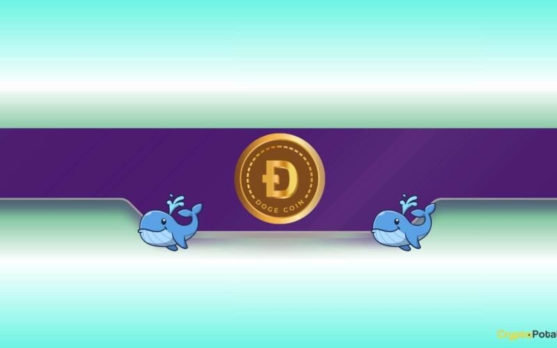 DOGE Price Dumps to Monthly Lows but Dogecoin Whales Load Up