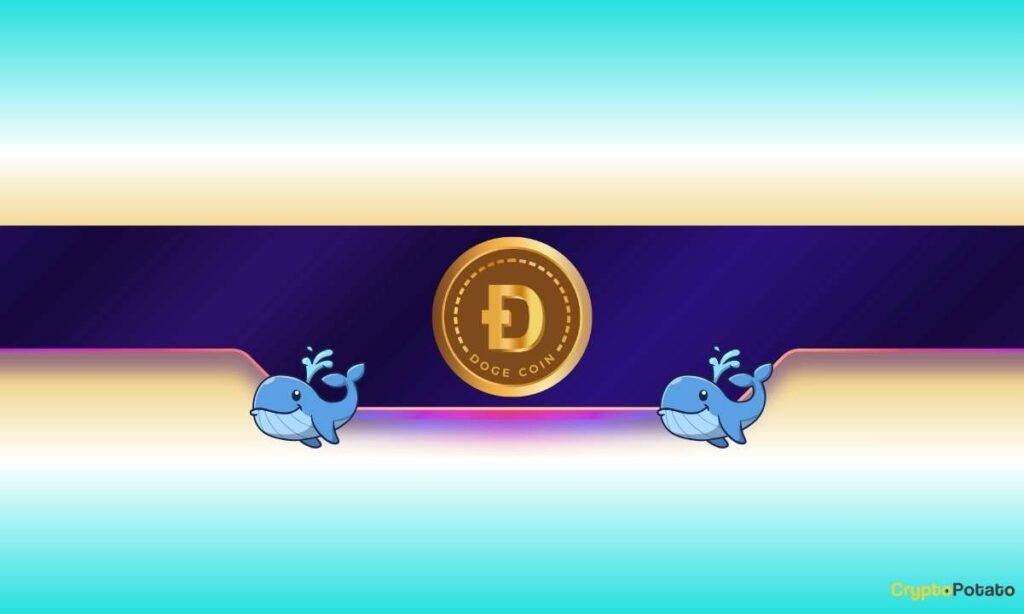 Is Dogecoin Ready for a Further Rally?