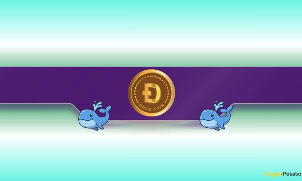 Dogecoin Whales Buy the Dip as DOGE Hit 14-Month Low
