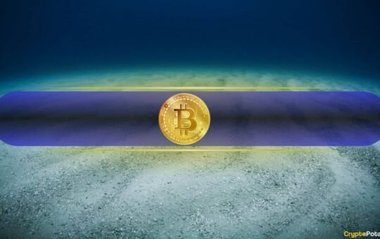 Is Bitcoin Bottoming Out? Long-Term Indicators Shift as Short-Term Pain Persists: Fidelity