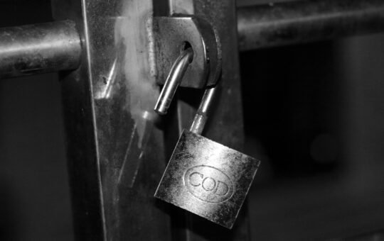 Mitigating vendor lock-in with Sakana AI Fugu multi-agent models