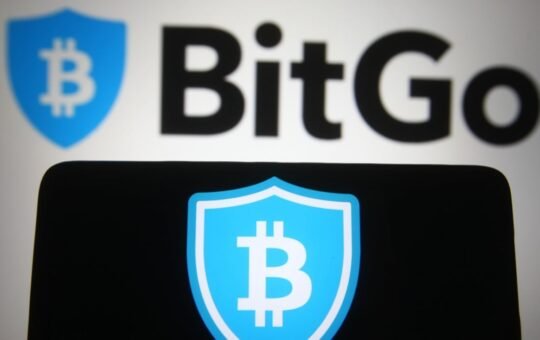 Bitgo Revenue Jumps 80% to $4.3B as Stablecoin Demand Grows