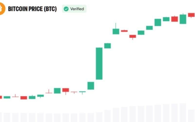 Bitcoin Was the Asset. Now Institutions Are Building Around It