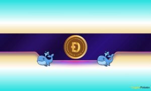 Where Is Dogecoin Headed Next?