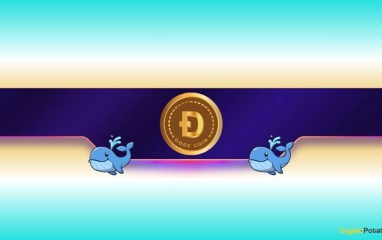 Where Is Dogecoin Headed Next?