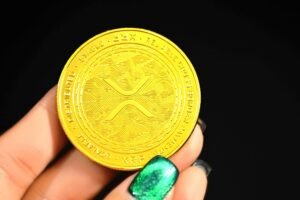 Ripple No Longer With BIS Task Force; Questions Over XRPL Paper Linger