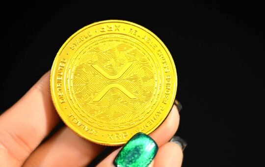 Ripple No Longer With BIS Task Force; Questions Over XRPL Paper Linger