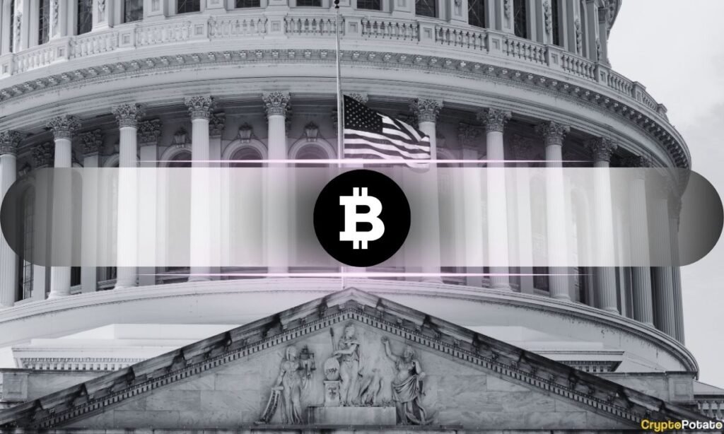 US Is Importing Bitcoin and Exporting Digital Dollars: What Does it Mean?